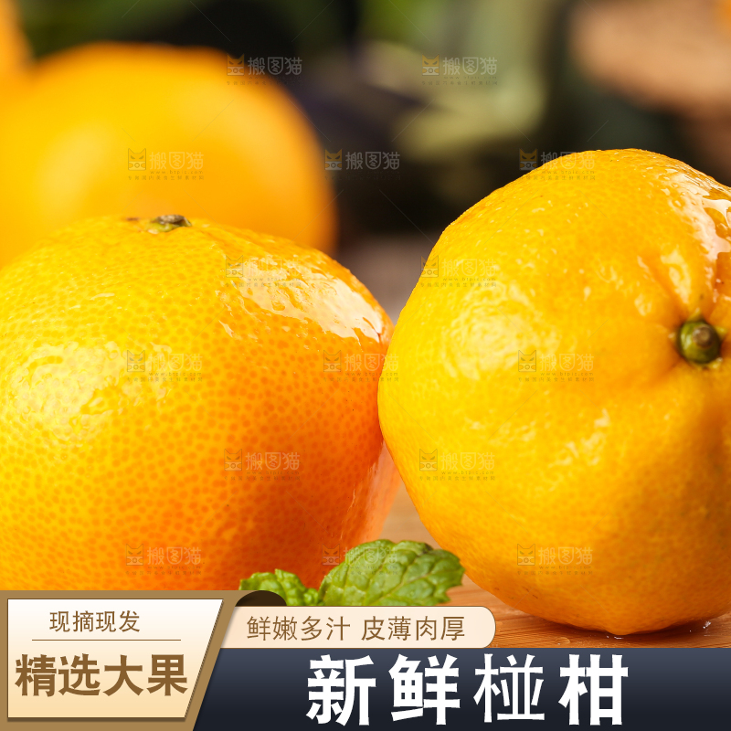 木底上摆放着椪柑