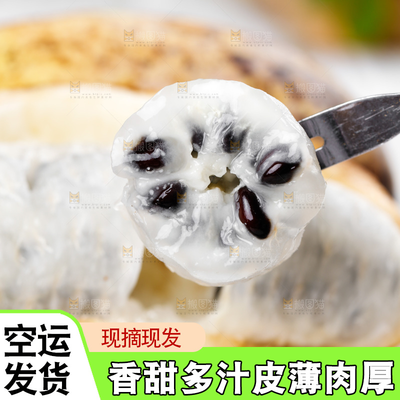 勺子上放着八月瓜