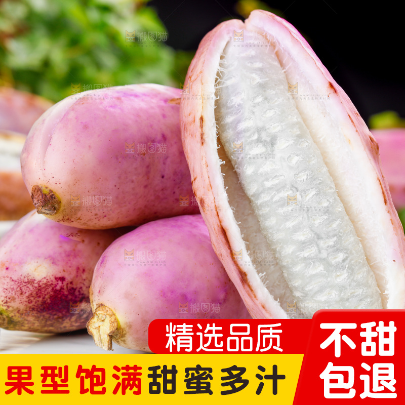 白底上摆放着八月瓜