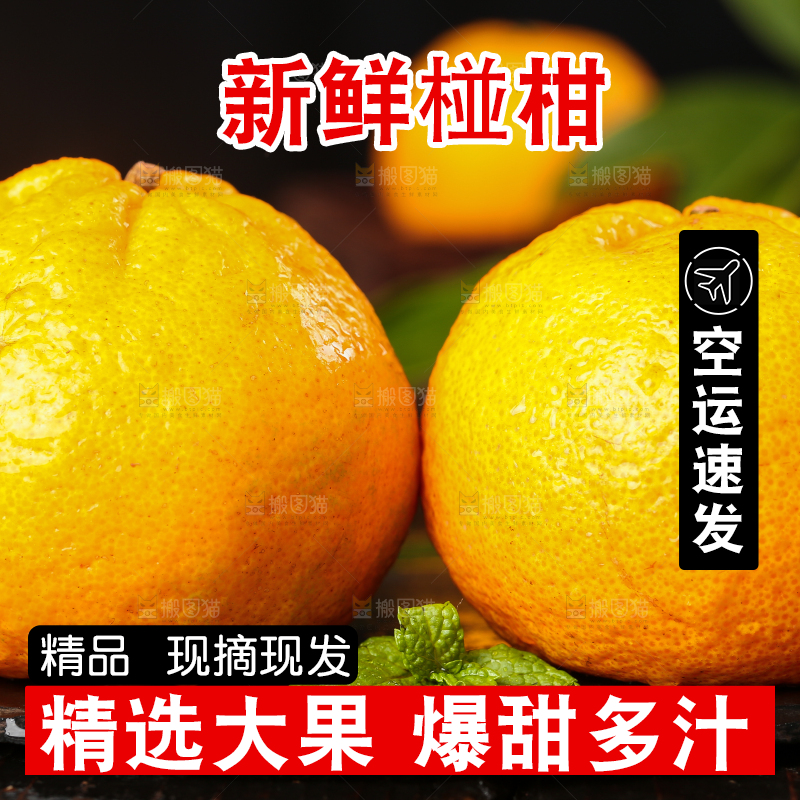 黑底上摆放着椪柑