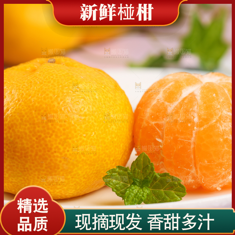 盘子里摆放着椪柑橘