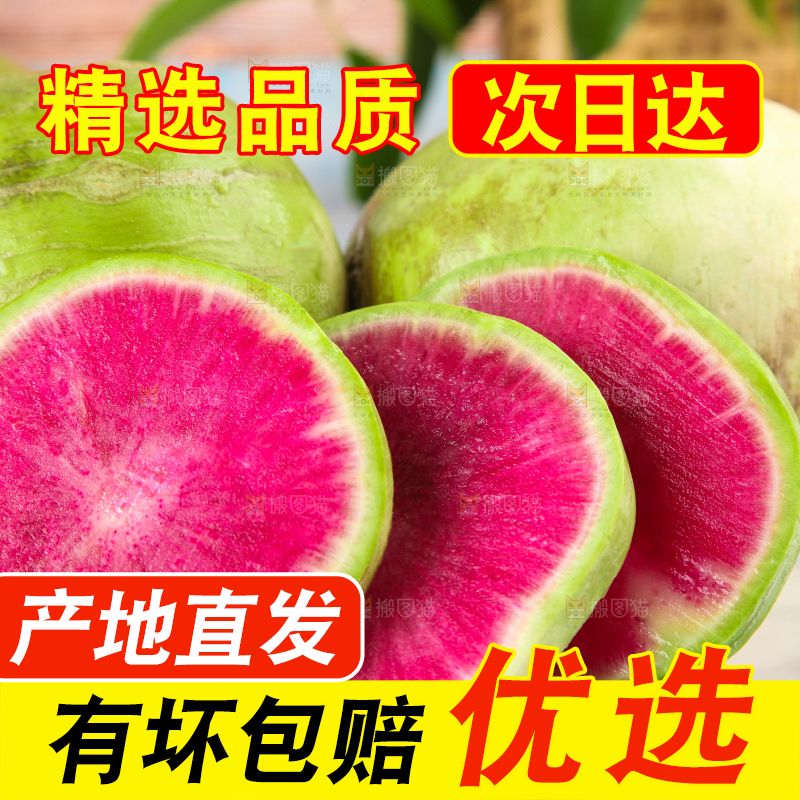 浅底上摆放着心里美萝卜