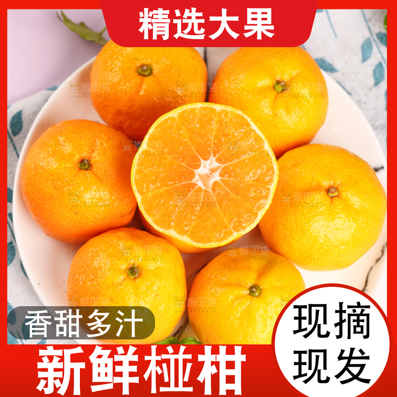 碟子里装着椪柑橘