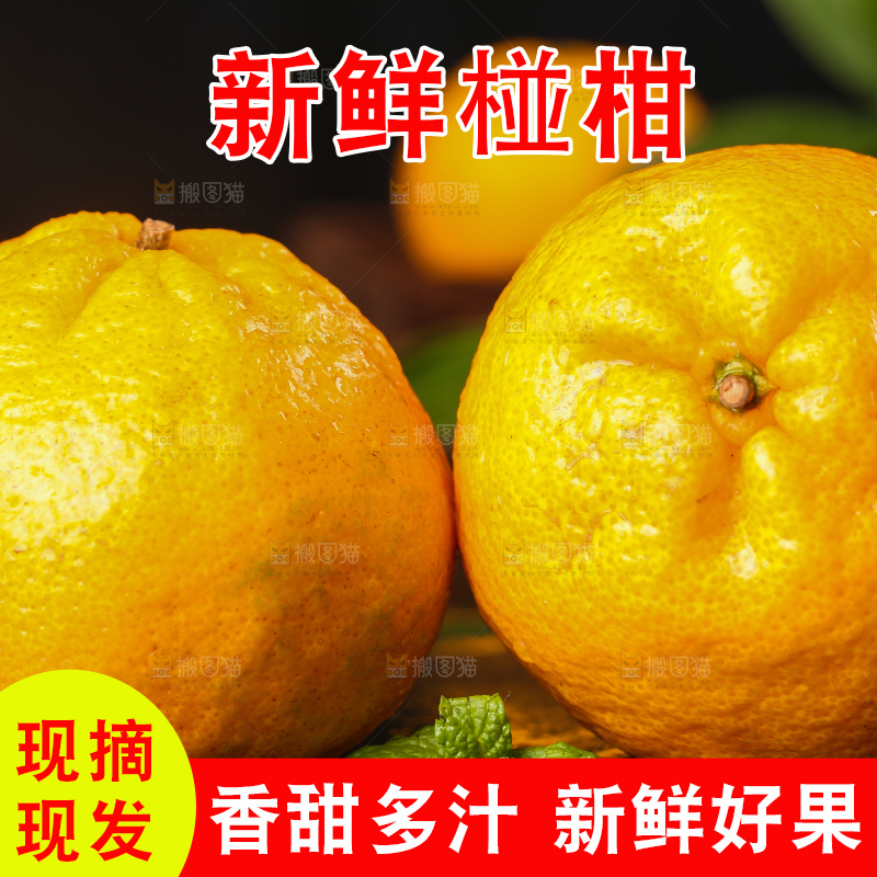 黑底上摆放着椪柑