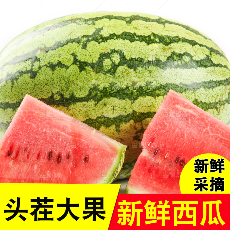 白底上放着西瓜