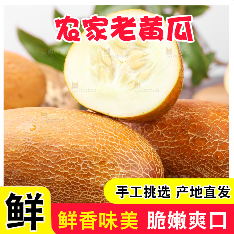 深底上摆放着老黄瓜