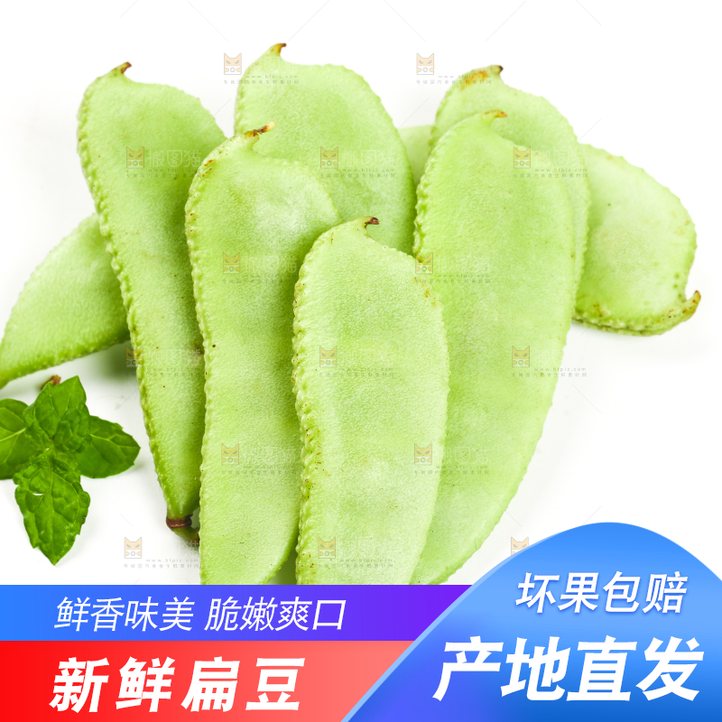 白底上放着扁豆