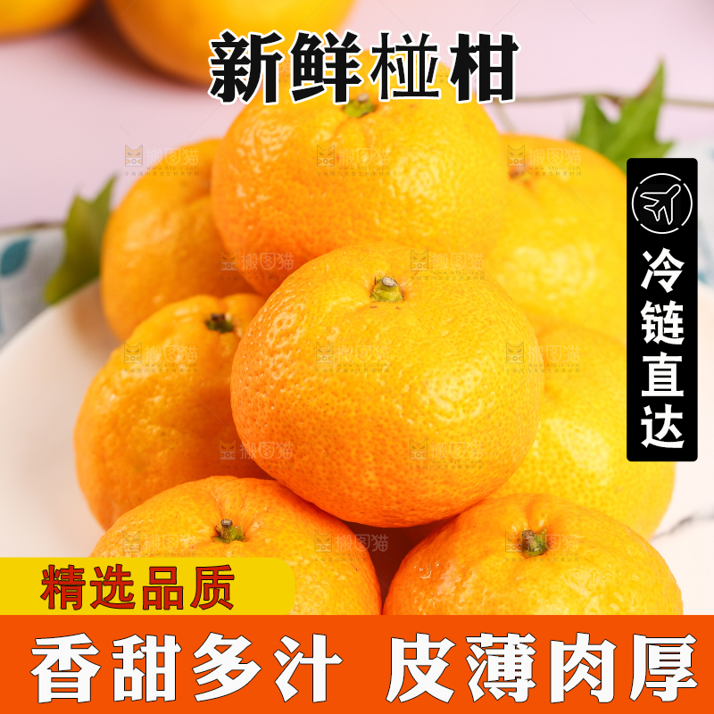 盘子里摆放着椪柑橘