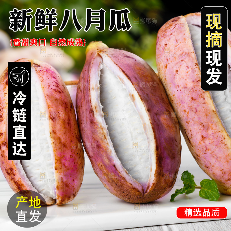 白底上摆放着八月瓜
