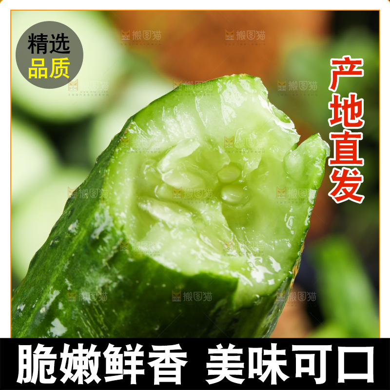 手里拿着黄瓜