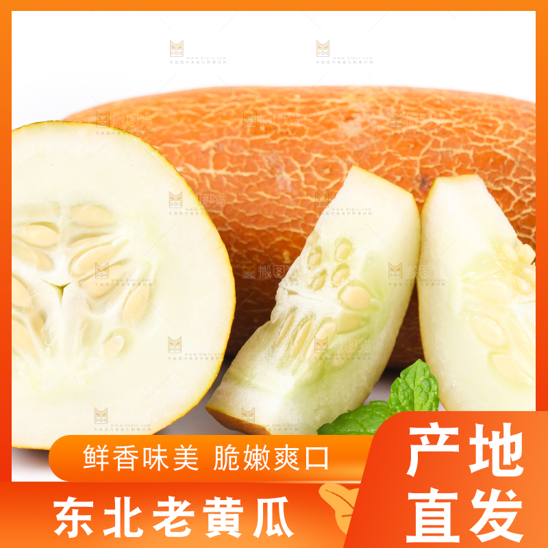 白底上摆放着老黄瓜
