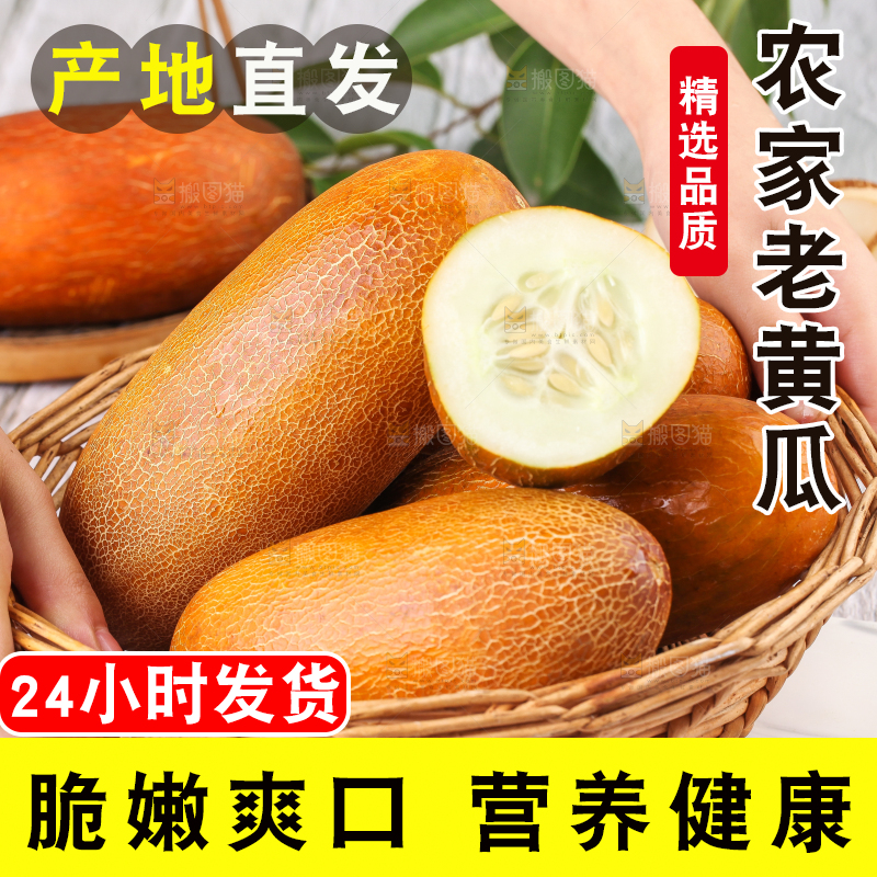 篮子里装着黄皮黄瓜