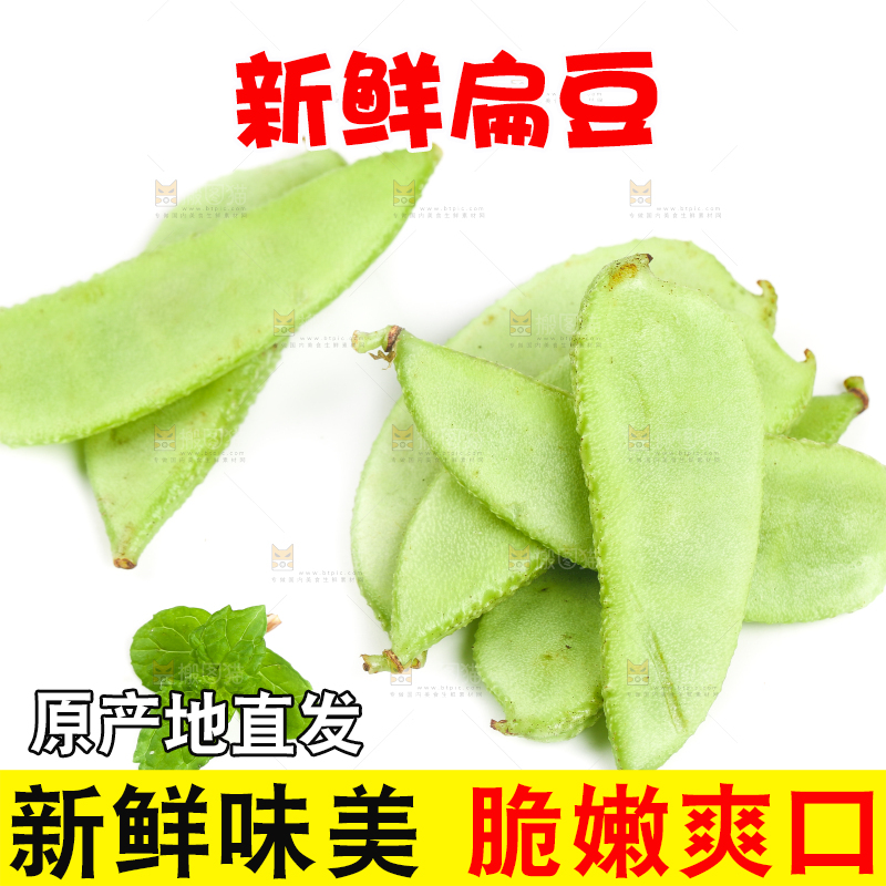 白底上放着扁豆