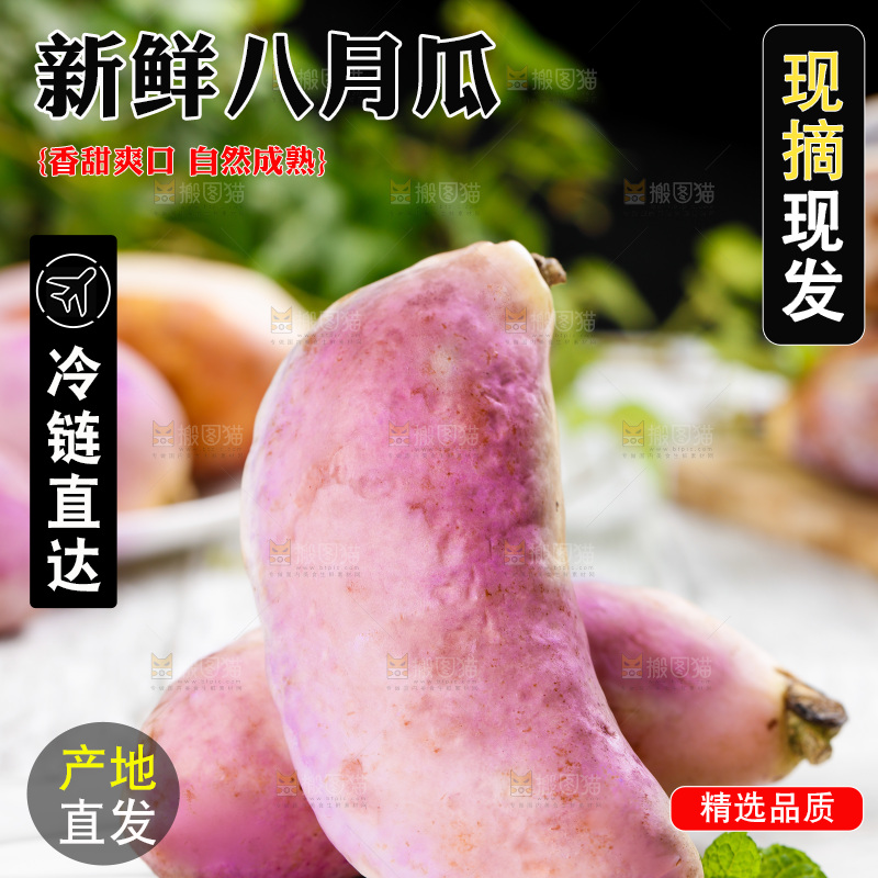白底上摆放着八月瓜