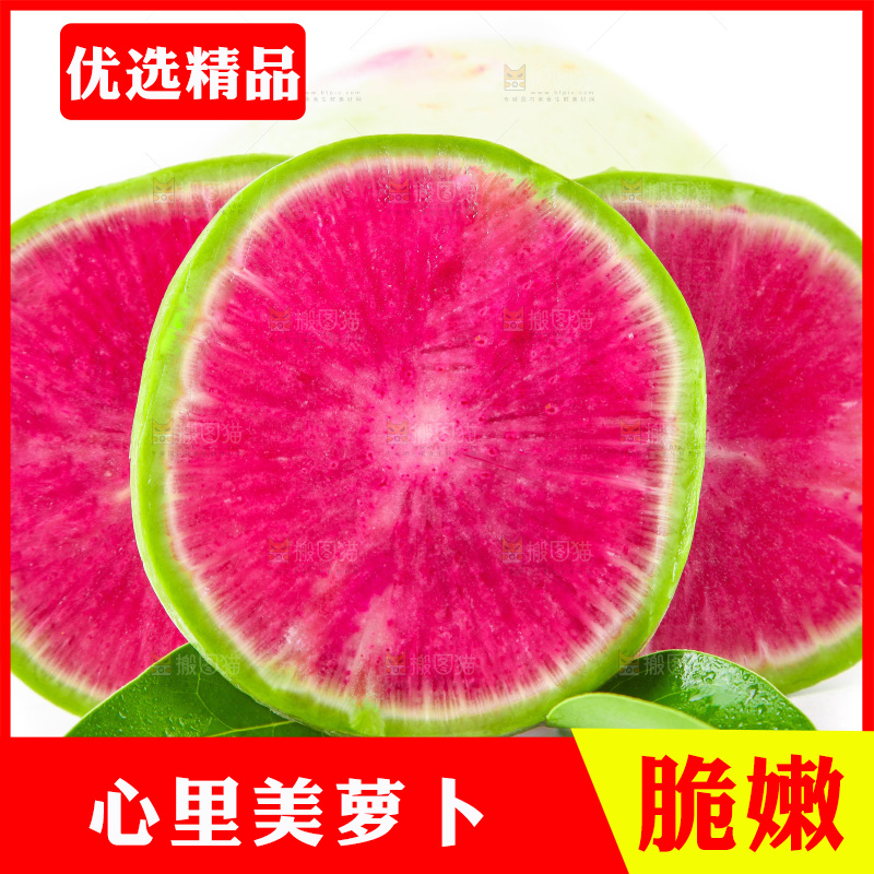 白底上的心里美萝卜