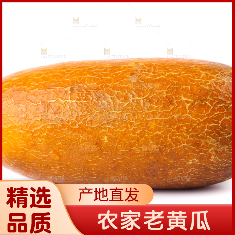 白底上摆放着老黄瓜