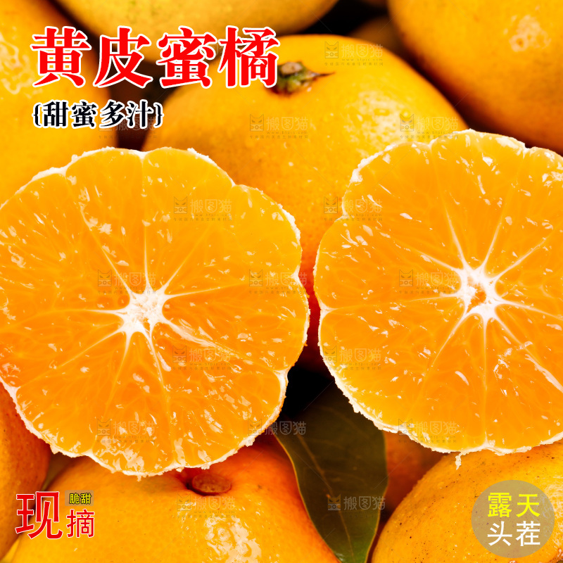 堆放着黄皮蜜橘
