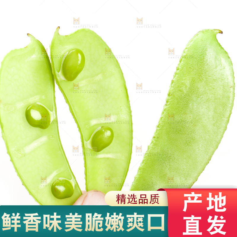 手里拿着扁豆角
