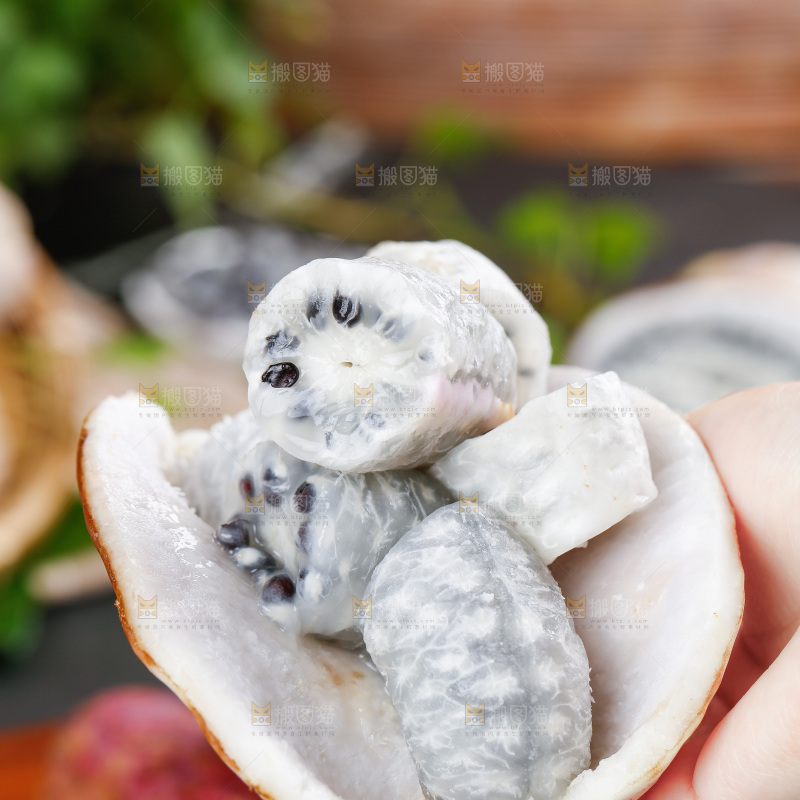 手里拿着八月瓜