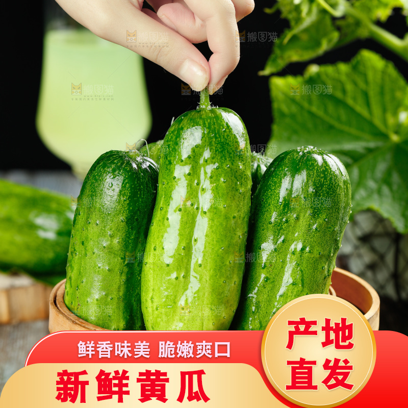 篮子里放着青瓜