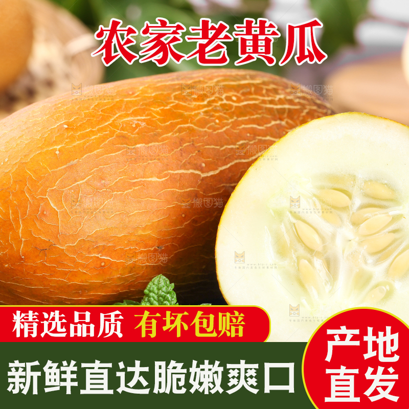 深底上摆放着老黄瓜