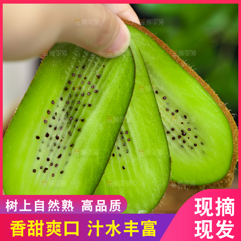 手里拿着切片的奇异果