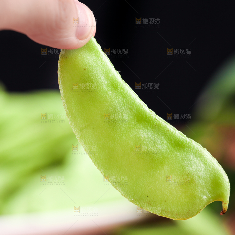手里拿着扁豆角
