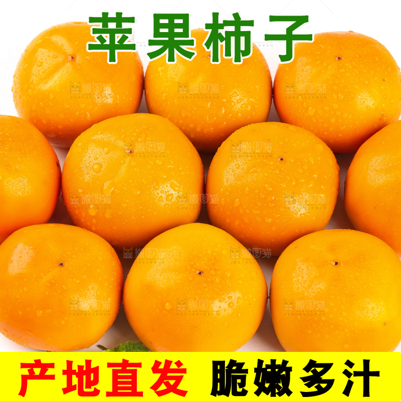 白底上摆放着脆柿子