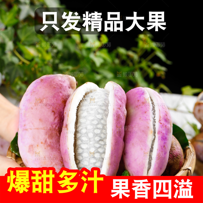 手里拿着八月瓜