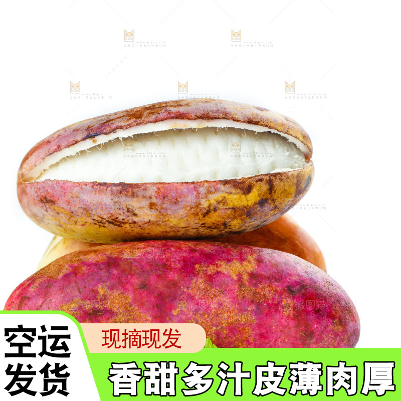 白底上摆放着八月果