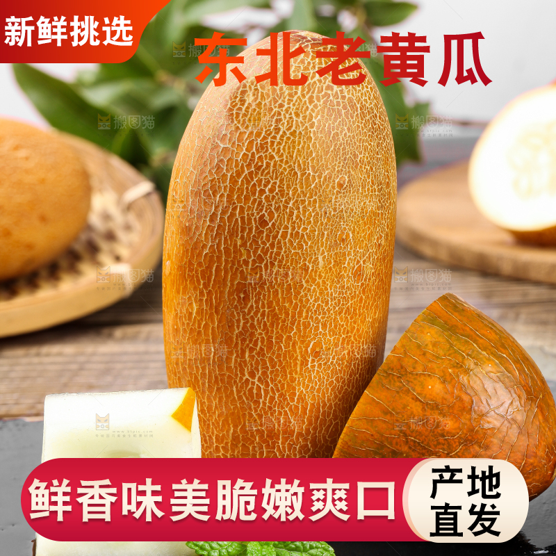 深底上摆放着老黄瓜