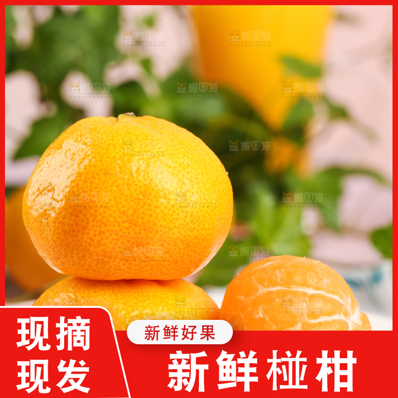 盘子里摆放着椪柑橘