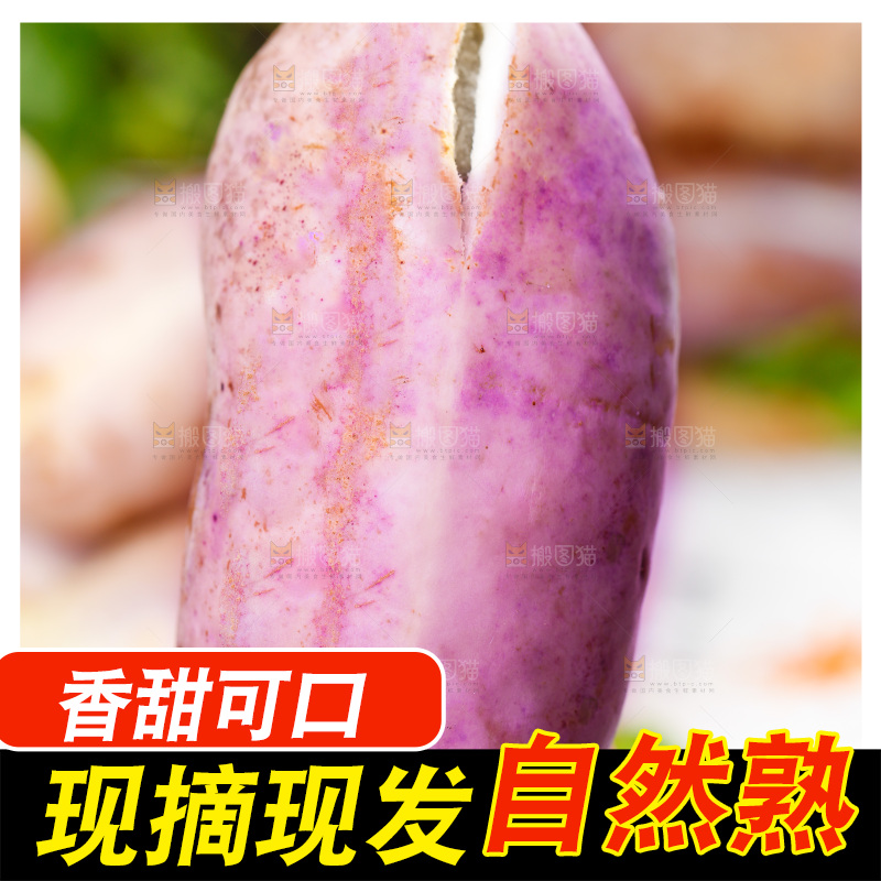 手里拿着八月瓜