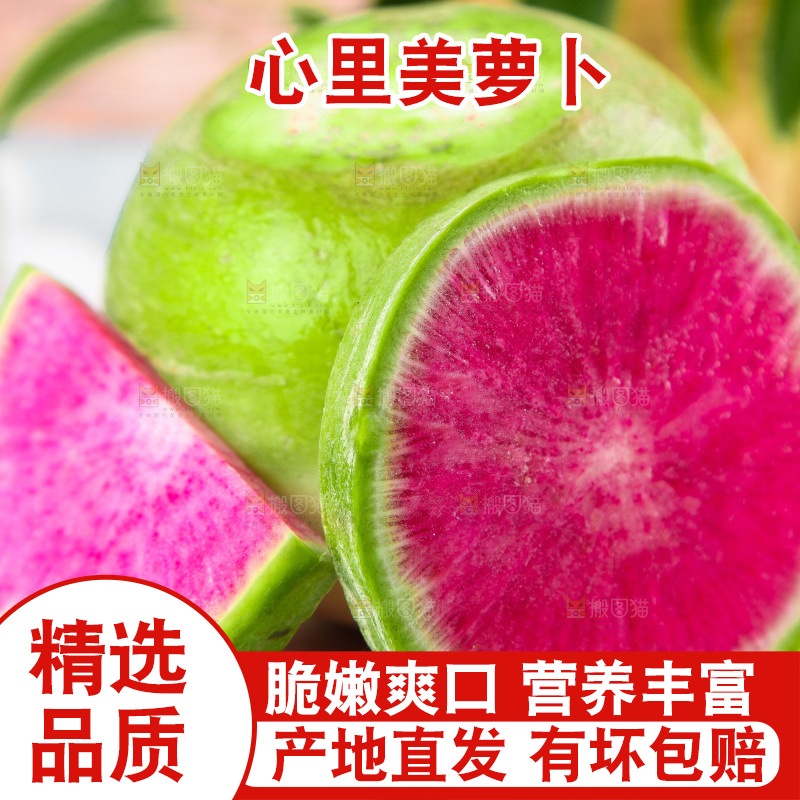 浅底上摆放着心里美萝卜
