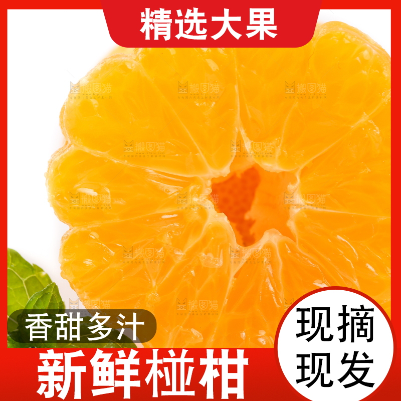 白底上摆放着椪柑橘