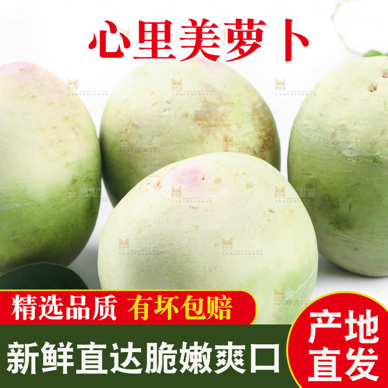 白底上摆放着心里美萝卜