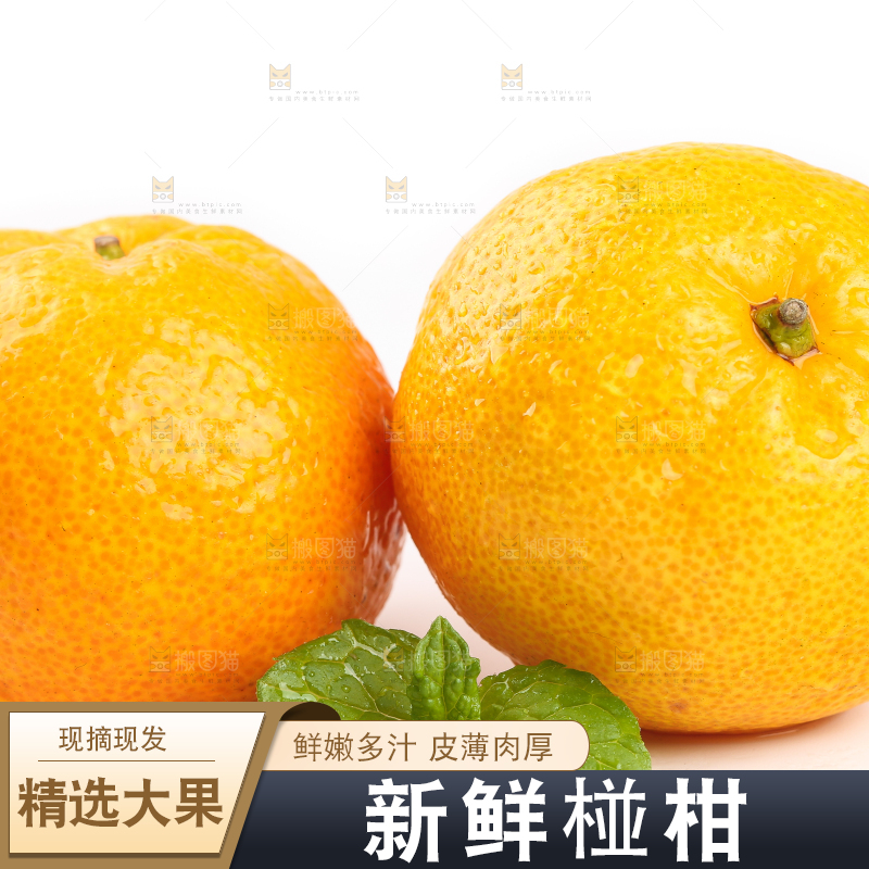 白底上摆放着椪柑橘