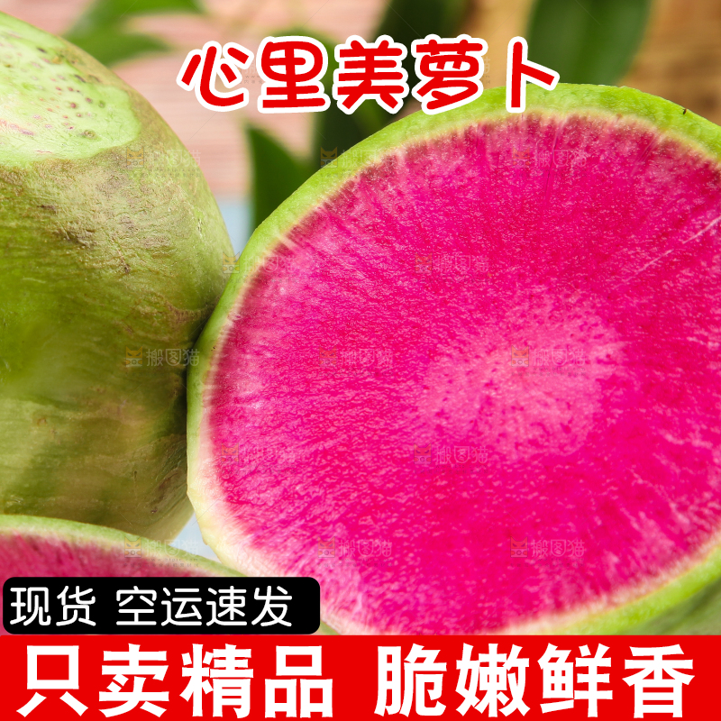 浅底上摆放着心里美萝卜