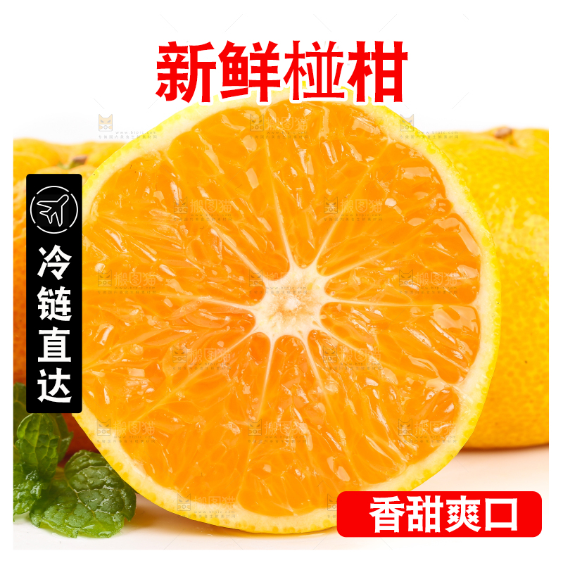 白底上摆放着椪柑橘