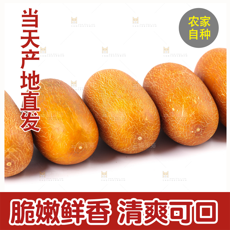 白底上摆放着老黄瓜