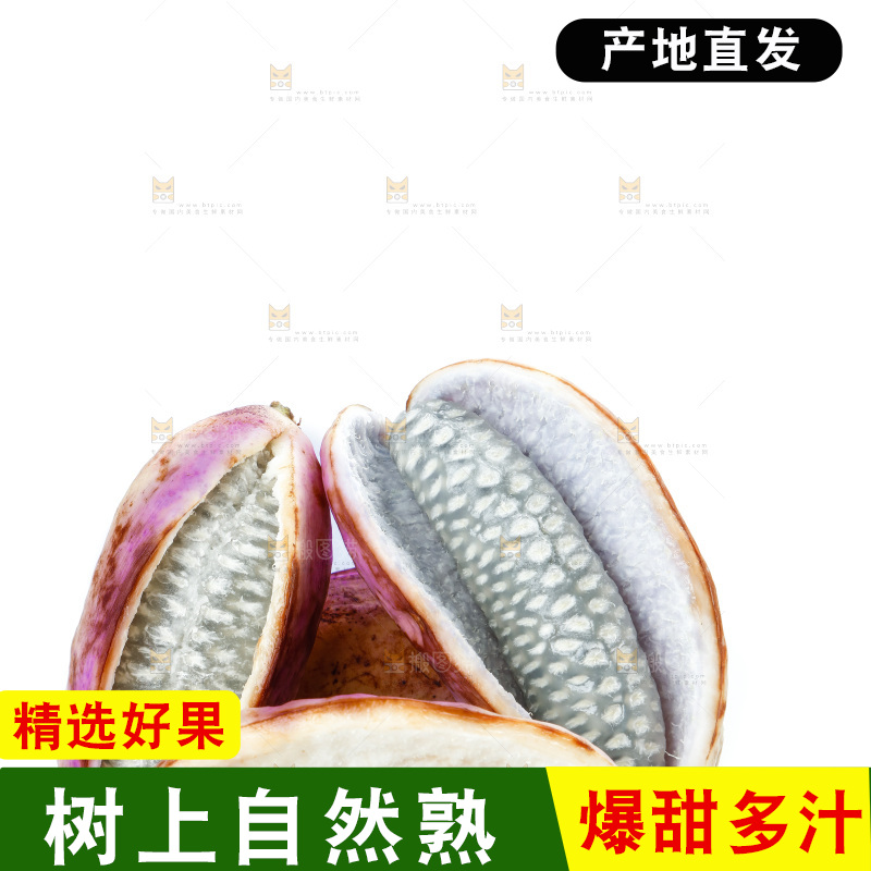 白底上摆放着八月果