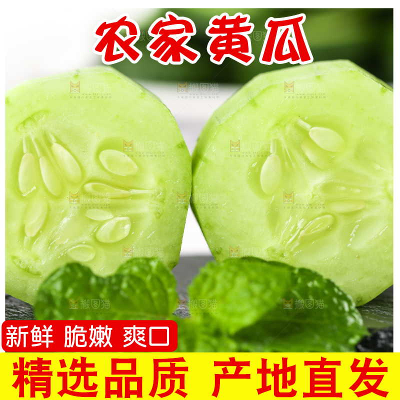 黑底上放着黄瓜