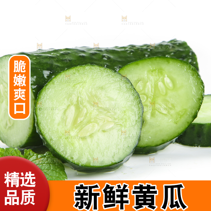 白底上摆放着黄瓜