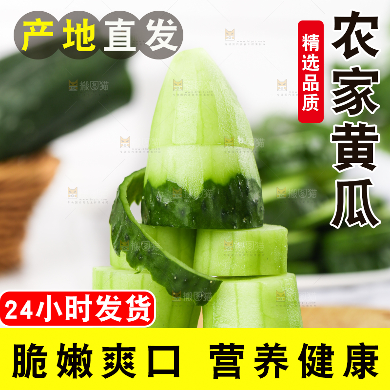 木底上堆放着新鲜黄瓜