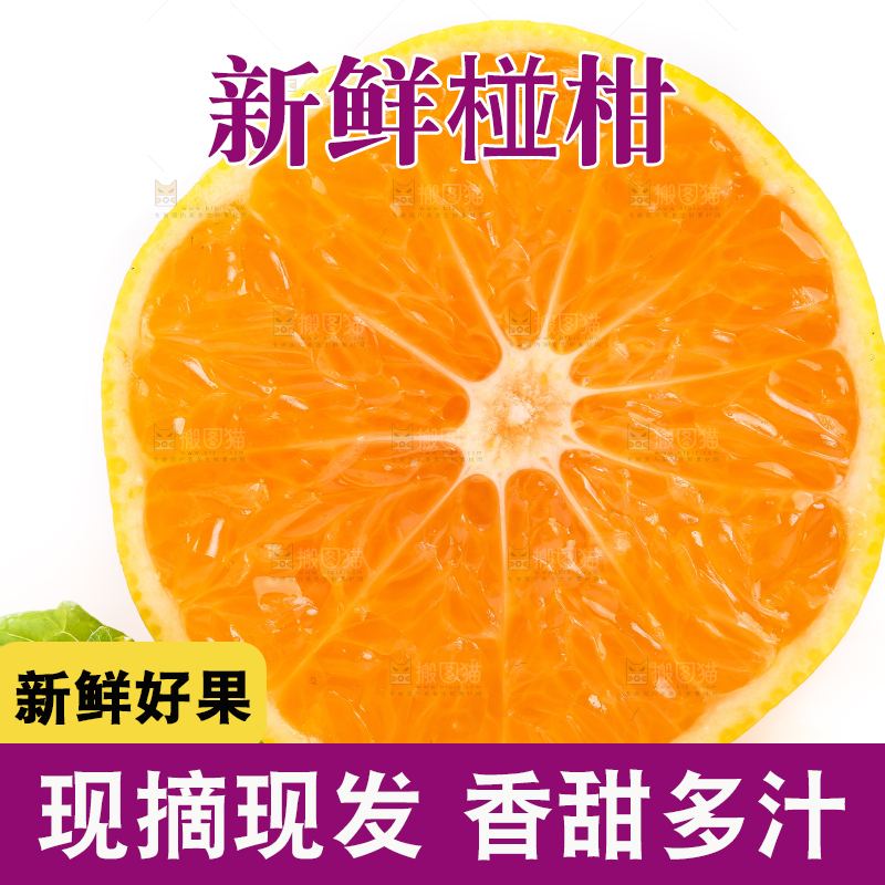 白底上摆放着椪柑橘