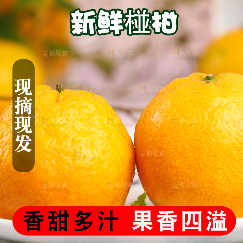 盘子里摆放着椪柑橘