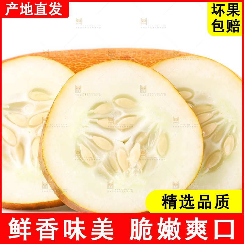 白底上摆放着老黄瓜