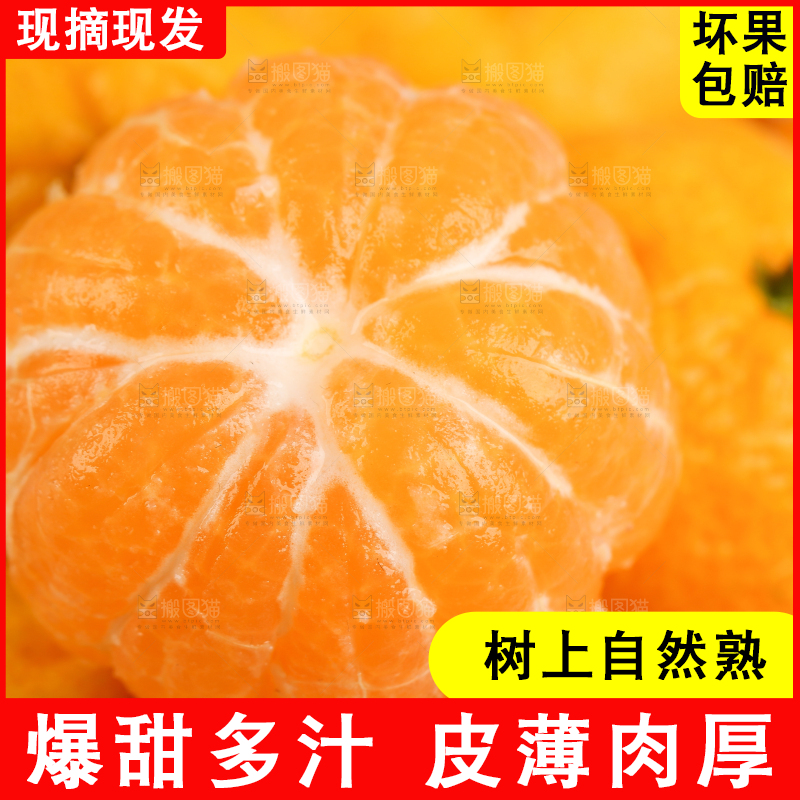 堆放着整齐的椪柑