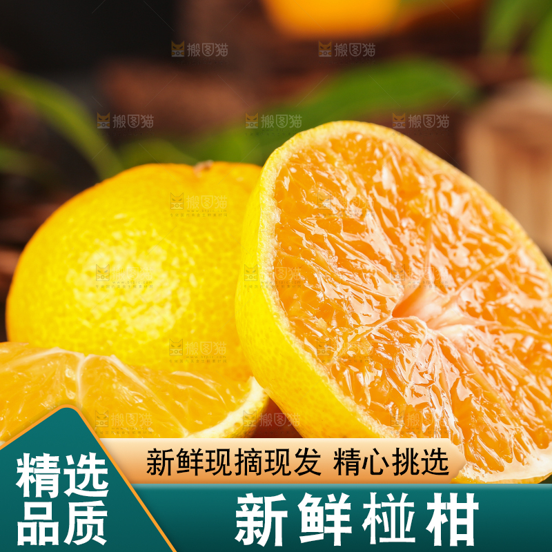 黑底上摆放着椪柑