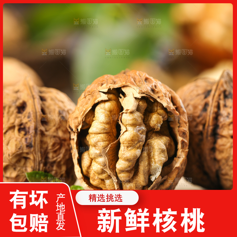 木底上摆放着大核桃